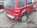Ford Escape Xlt 1FMCU0D7XCKB58598 fotografie