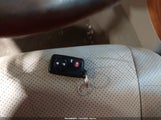 Miniaturka zdjęcia 11