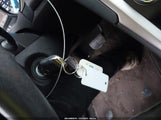 Miniaturka zdjęcia 11