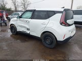Miniaturka zdjęcia 3