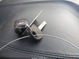 Miniaturka zdjęcia 11