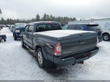 Toyota Tacoma Base V6 3TMMU4FNXBM029876 fotografie