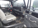 Miniaturka zdjęcia 5