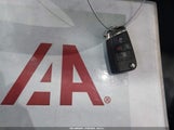 Miniaturka zdjęcia 11