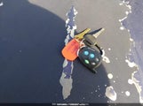 Miniaturka zdjęcia 11
