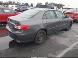 Miniaturka zdjęcia 4