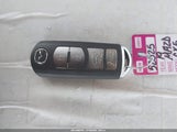 Miniaturka zdjęcia 11