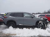 Nissan Rogue Platinum Intelligent Awd JN8BT3DD6PW300152 fotografie