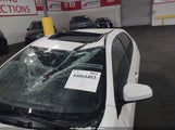 Toyota Corolla Le 5YFBURHE5KP892739 снимка