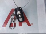 Miniaturka zdjęcia 11
