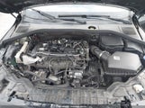 Miniaturka zdjęcia 10