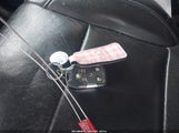 Miniaturka zdjęcia 11