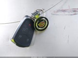 Miniaturka zdjęcia 11
