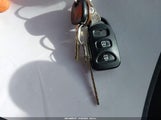 Miniaturka zdjęcia 11