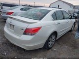 Honda Accord 3.5 Ex-L 1HGCP36819A049708 photo