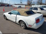 Ford Mustang V6 1ZVHT84N165156202 снимка