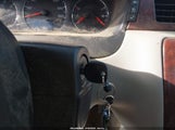 Miniaturka zdjęcia 11