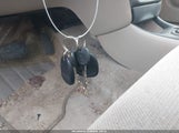 Miniaturka zdjęcia 11