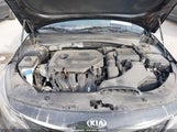 Miniaturka zdjęcia 10