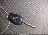 Miniaturka zdjęcia 11