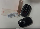 Miniaturka zdjęcia 11