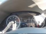 Miniaturka zdjęcia 7