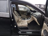 Miniaturka zdjęcia 5