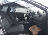 Miniaturka zdjęcia 5