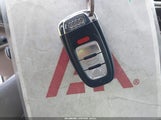 Miniaturka zdjęcia 11