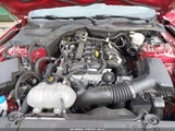Ford Mustang Ecoboost Premium Fastback 1FA6P8TH9M5152380 снимка