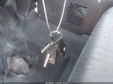 Miniaturka zdjęcia 11
