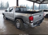 Miniaturka zdjęcia 3