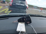 Miniaturka zdjęcia 11
