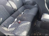 Miniaturka zdjęcia 8