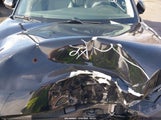 Miniaturka zdjęcia 10