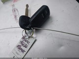Miniaturka zdjęcia 11
