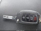 Miniaturka zdjęcia 11