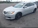 Miniaturka zdjęcia 2