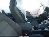 Miniaturka zdjęcia 5