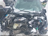 Honda Civic Lx 2HGFC2F65KH599390 снимка