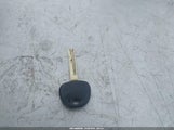 Miniaturka zdjęcia 11