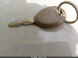 Miniaturka zdjęcia 11