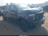 Chevrolet Silverado  4Wd Short Bed Lt Trail Boss 3GCPYFED9LG288283 fotografie