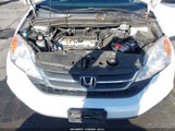 Honda Cr-V Lx JHLRE3H38AC004468 снимка