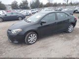 Miniaturka zdjęcia 2