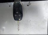 Miniaturka zdjęcia 11