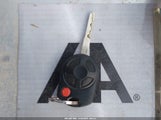 Miniaturka zdjęcia 11