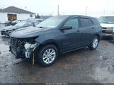 Chevrolet Equinox Ls 3GNAXREV6JS612410 снимка