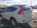 Miniaturka zdjęcia 3
