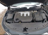 Miniaturka zdjęcia 10